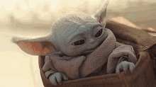 Mandalorian Baby Yoda GIF - Mandalorian Baby Yoda Puppy In Car GIFs