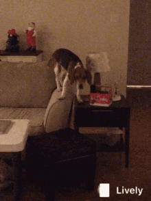 Beagle Dog GIF - Beagle Dog Cute GIFs