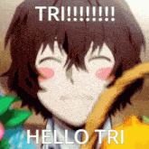 Hello Tri Nano GIF - Hello Tri Hello Tri GIFs