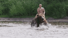 Putin Bear GIF - Putin Bear GIFs