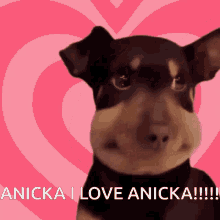 Anicka Anička GIF - Anicka Anička Anička I Love GIFs