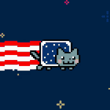 nyan cat america flag usa space