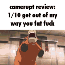 Camerupt Camerupt Review GIF