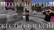 a screenshot of a video game with russian text on the bottom