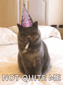 a cat wearing a party hat is sitting on a bed with the words not quite me behind it
