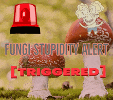 Fungi Triggered GIF - Fungi Triggered Crew GIFs