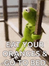 kermit the frog is leaning against a railing and saying `` eat your oranges & go to bed ''
