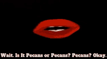 Dairy Queen Pecans GIF - Dairy Queen Pecans Wait Is It Pecans Or Pecans GIFs