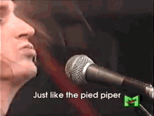 Junior... Sod Live In Italy 1992 GIF - Megadeth David Ellefson Pied Piper GIFs