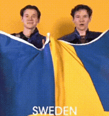 Marcus And Martinus Sweden GIF - Marcus And Martinus Sweden Flag GIFs