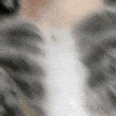 a blurred image of a person 's chest with a gray and white pattern