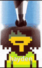 a pixel art of a person with the name hayden written on it