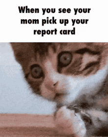 When You See Your Mom Pick Up Your Report Card GIF - Report Card When You See Your Report Card When Your Mom Sees Your Report Card GIFs