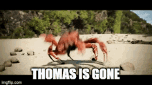 Thomas Is Gone Dancing GIF - Thomas Is Gone Dancing Crabs GIFs