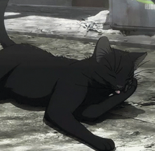 Cat Anime Cat GIF - Cat Anime Cat - Discover & Share GIFs