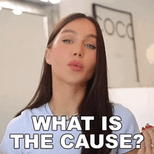 What Is The Cause Lisa Alexandra GIF - What Is The Cause Lisa Alexandra Coco Lili GIFs