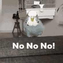 No Oh GIF - No Oh Hell GIFs