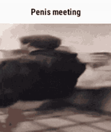 Penis Meeting GIF - Penis Meeting Penis Meeting GIFs