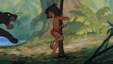 bagheera mowgli