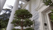 a white house with a tree in front of it and columns .