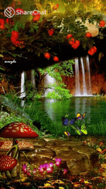waterfalls falls butterflies mushroom river