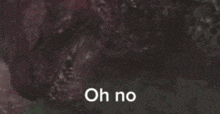 a close up of a monster 's face with the words `` oh no '' written next to it .