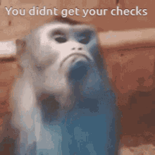 checkwalls monkeysad