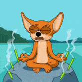 a cartoon dog sits in a lotus position on a rock surrounded by incense sticks