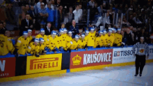 Players Excited GIF - Players Excited Sweden GIFs