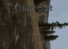 a computer generated image with the words hello chat