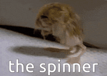 a picture of a spider with the words the spinner written below it