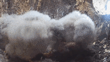a large cloud of dust is coming out of a hole in a tree
