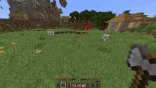 a red item in a video game says raw beef on it