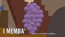 remember i remember memba member berries