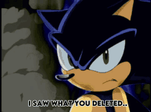 I Saw What You Deleted I Saw What You Deleted Sonic GIF - I Saw What You Deleted I Saw What You Deleted Sonic Death GIFs
