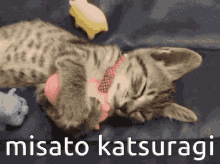 Misato Evangelion GIF - Misato Evangelion Misato Katsuragi GIFs
