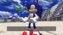 sonic the hedgehog standing on a beach with the words " but here 's the thing " below him