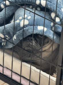 a dog in a cage with a blue blanket on top