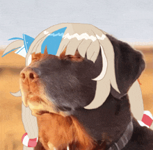 a dog with a drawing of a girl 's head on it