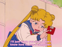 I'Ll Just Warn You Now I Don'T Know How To Use A Computer Sailor Moon Meme