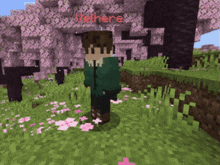 a minecraft character named velhere is standing in a field of grass
