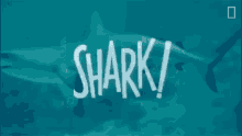Shark Nat Geo Explores GIF - Shark Nat Geo Explores Warning GIFs