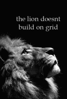 a black and white photo of a lion looking up with a quote .