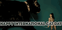 Cat Day International Cat Day GIF - Cat Day International Cat Day National Cat Day GIFs