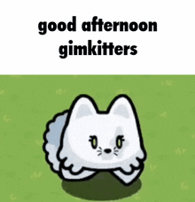 Good Afternoon Chat Gimkit GIF - Good Afternoon Chat Gimkit Gimkitters GIFs