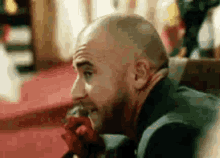 a bald man with a beard is sitting on a couch eating a red tomato .