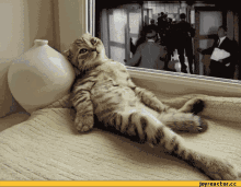 Cat Lazy GIF - Cat Lazy Time GIFs