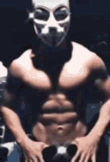 a shirtless man wearing a mask is holding a dog in his hands .