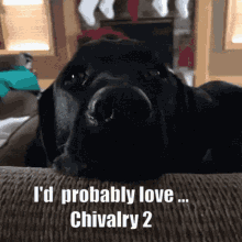 Chivalry2 You Dont Love Me GIF - Chivalry2 You Dont Love Me Nagnagnag GIFs