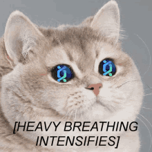 Heavy Breathing Heavy Breathing Cat GIF - Heavy Breathing Heavy Breathing Cat Cosmogene GIFs
